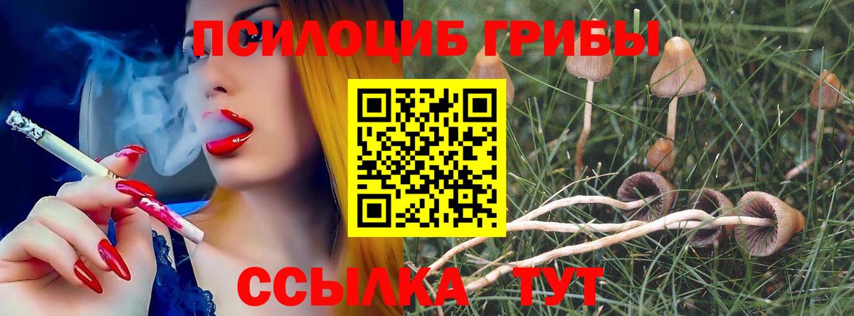 Керчь  Галлюциногенные грибы Magic Shrooms  Вход с VPN 