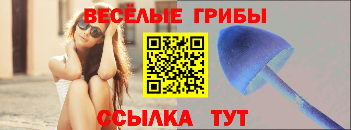 Псилоцибиновые грибы мицелий Керчь